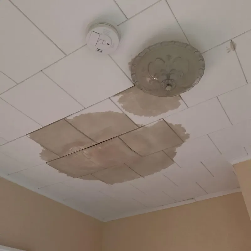 Ceiling Water Damage Repair in Ashby, MA
