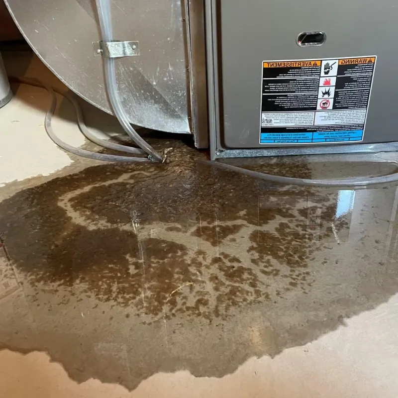 Pipe Burst and Leak Restoration in Ashby, MA