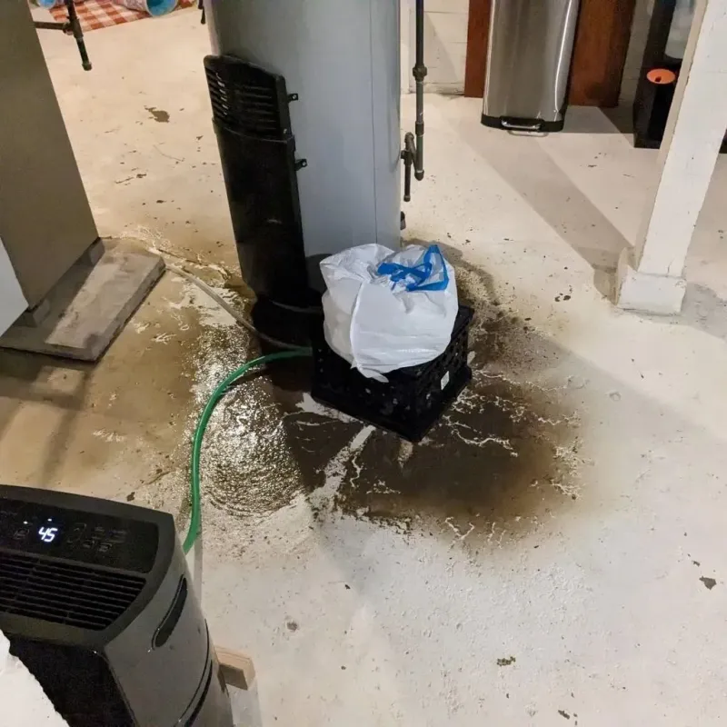 Sewage Backup Cleanup Service in Ashby, MA